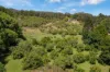 253 Palmvale Road, Palmvale, NSW 2484-Image