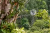 253 Palmvale Road, Palmvale, NSW 2484-Image