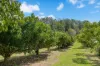 253 Palmvale Road, Palmvale, NSW 2484-Image