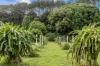 253 Palmvale Road, Palmvale, NSW 2484-Image
