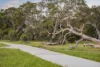 253 Wilderness Drive, Mount Duneed, Vic 3217-Image
