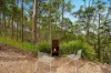 253 Woodward Road, Armstrong Creek, Qld 4520-Image