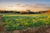 254 Guernsey Rise, Chittering, WA 6084-Image