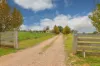 254 Seventh Street, Merbein South, Vic 3505-Image