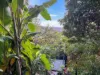 255-259 Toogood Road, Bayview Heights, Qld 4868-Image