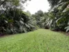 255 Boulders Road, Babinda, Qld 4861-Image