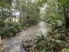 255 Boulders Road, Babinda, Qld 4861-Image