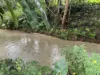 255 Boulders Road, Babinda, Qld 4861-Image