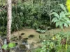 255 Boulders Road, Babinda, Qld 4861-Image