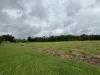 255 Boulders Road, Babinda, Qld 4861-Image