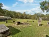 255 Graves Road, Redbank Creek, Qld 4312-Image
