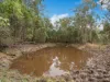 255 Graves Road, Redbank Creek, Qld 4312-Image
