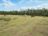 255 Graves Road, Redbank Creek, Qld 4312-Image