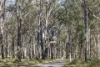255 Springbank Road, Brundee NSW 2540-Image