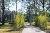 255 Springbank Road, Brundee NSW 2540-Image