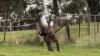 255 Sturt Valley Rd, Upper Sturt, SA 5156-Image