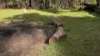 255 Sturt Valley Rd, Upper Sturt, SA 5156-Image