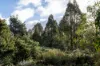 256 Bradys Lake Road, Bradys Lake, Tas 7140-Image