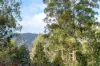 256 Bradys Lake Road, Bradys Lake, Tas 7140-Image