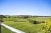 258 Wiggins Road, Scotsburn, Vic 3352-Image