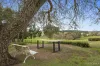 258 Wiggins Road, Scotsburn, Vic 3352-Image