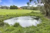 258 Wiggins Road, Scotsburn, Vic 3352-Image