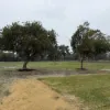 259 Beenyup Rd, Banjup, WA 6164-Image