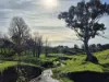 259 Brungle Road, Gundagai, NSW 2722-Image
