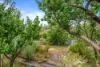 259 Glenlyon Road, Fitzroy North, Vic 3068-Image