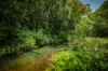 259 Kalang Road, Bellingen, NSW 2454-Image