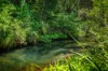 259 Kalang Road, Bellingen, NSW 2454-Image