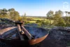 259 Mcpherson Road, Myall Park, NSW 2681-Image