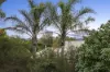 259 Scenic Road, Highton, Vic 3216-Image