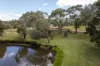 2596 Mansfield-Whitfield Road, Tolmie, Vic 3723-Image