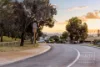 25B Thomas Way, Karrinyup, WA 6018-Image