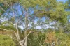 26/20 Kirby Ct, West Hobart, Tas 7000-Image