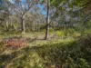 26 - 28 Burgess Street, Bicheno, Tas 7215-Image