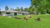 26-28 Evergreen Street, Clifton Beach, Qld 4879-Image