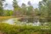 26 Andrew Road, Glenwood, Qld 4570-Image