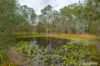 26 Andrew Road, Glenwood, Qld 4570-Image