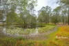 26 Andrew Road, Glenwood, Qld 4570-Image