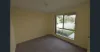 26 Arborwood Avenue, Springfield, Qld 4300-Image