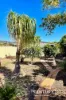 26 Atkinson Crescent, Kalbarri, WA 6536-Image
