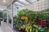 26 Bellevue Street, Glebe, NSW 2037-Image