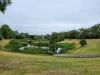 26 Bindy Street, Blackburn South VIC 3130-Image