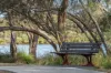 26 Bridge Street, Wilson, WA 6107-Image