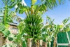 26 Caloma Street, Underwood, Qld 4119-Image