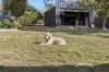 26 Cara Road, Greenmount, WA 6056-Image