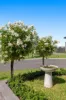 26 Caravan Parade, Berwick VIC 3806-Image