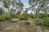 26 Carrol Grove, Mount Waverley, Vic 3149-Image